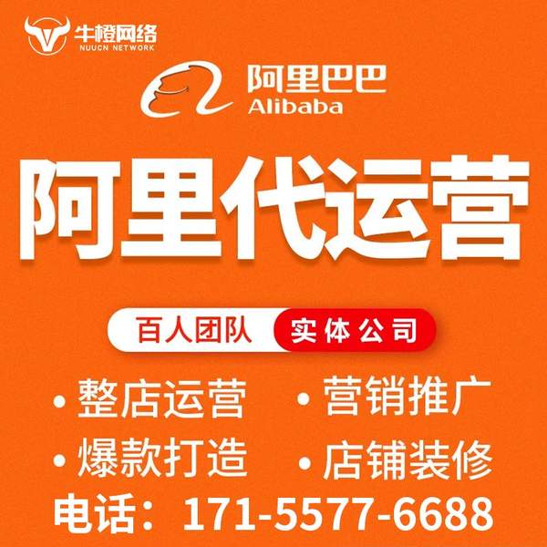 新泰电商代运营