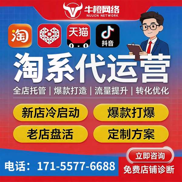 新泰电商代运营