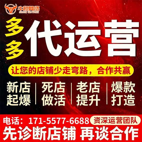 新泰电商代运营