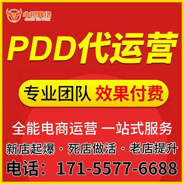 新泰电商代运营
