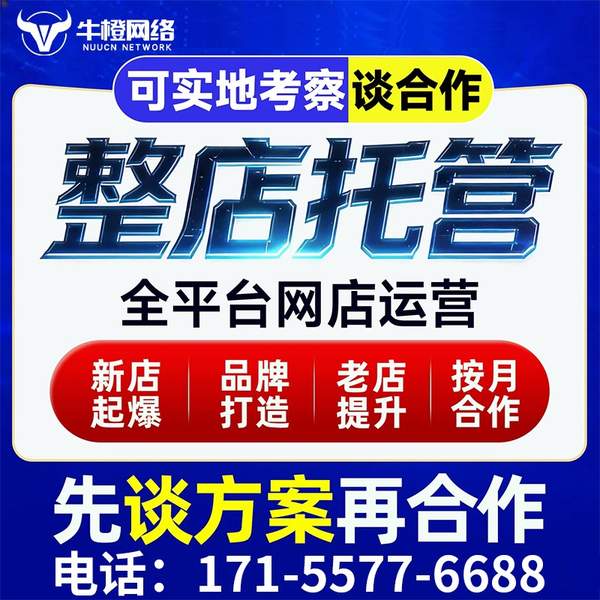 新泰电商代运营