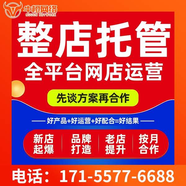 新泰电商代运营