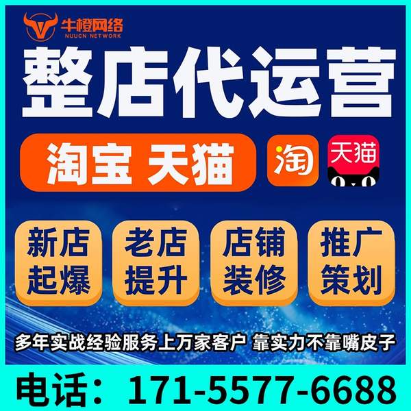 新泰电商代运营