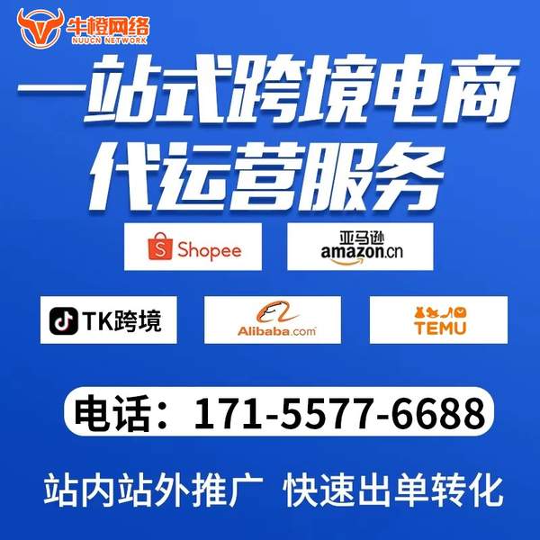 新泰电商代运营