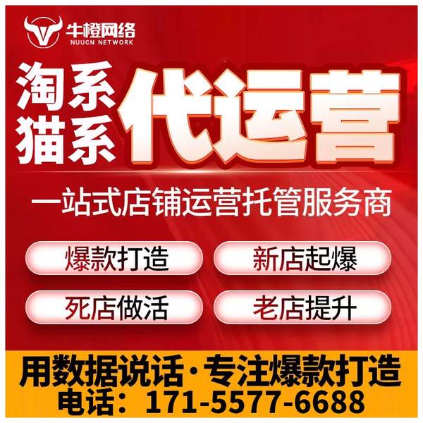 新泰电商代运营